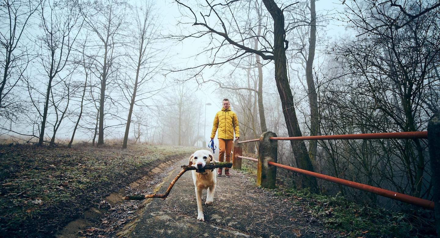 Celebrating GoTo’s customer environmental commitments