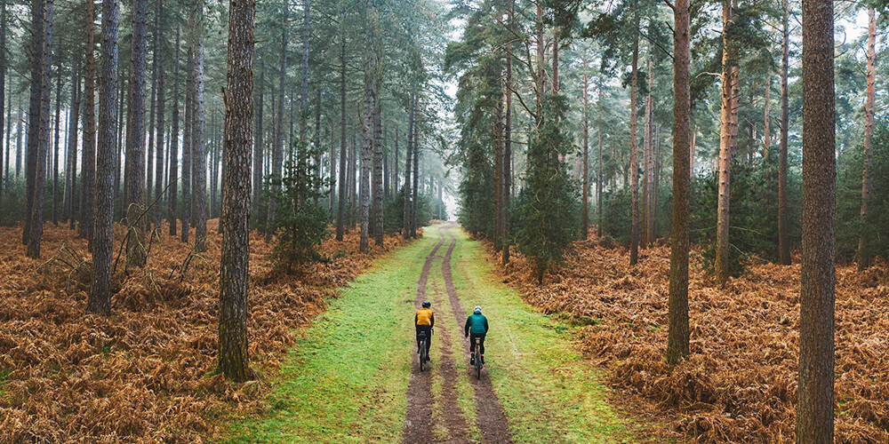 power-of-partnerships_1000x500